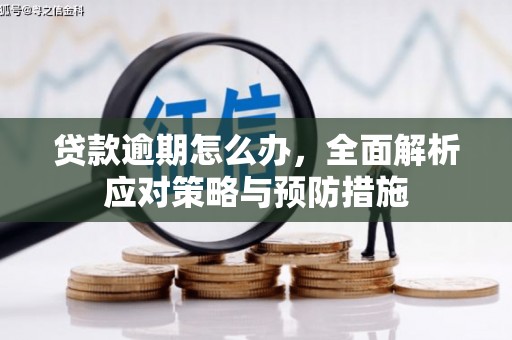 西城贷款逾期怎么办，全面解析应对策略与预防措施