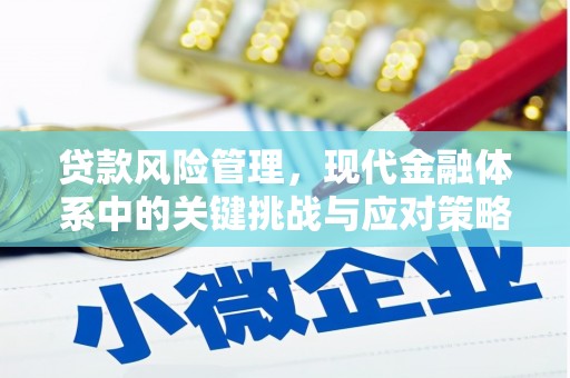 西城贷款风险管理，现代金融体系中的关键挑战与应对策略