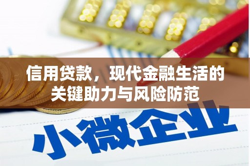 西城信用贷款，现代金融生活的关键助力与风险防范