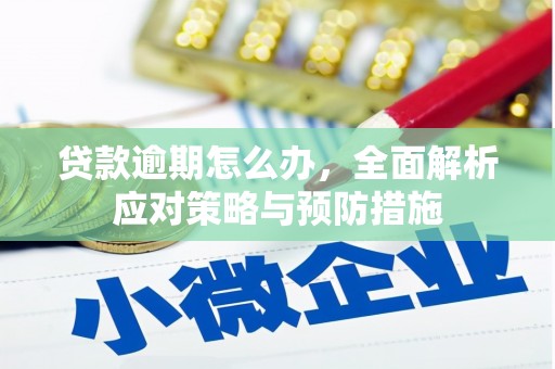 西城贷款逾期怎么办，全面解析应对策略与预防措施