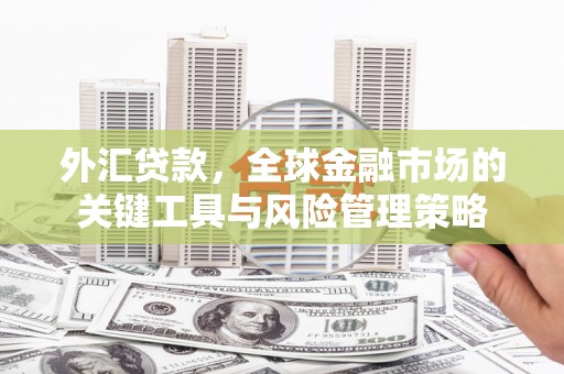 西城外汇贷款，全球金融市场的关键工具与风险管理策略