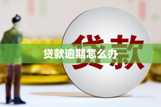 西城贷款逾期怎么办