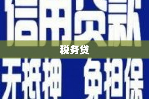 西城税务贷