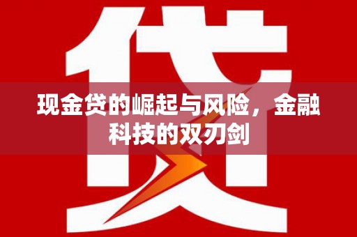 西城现金贷的崛起与风险，金融科技的双刃剑