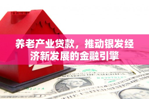西城养老产业贷款，推动银发经济新发展的金融引擎