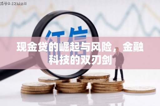西城现金贷的崛起与风险，金融科技的双刃剑