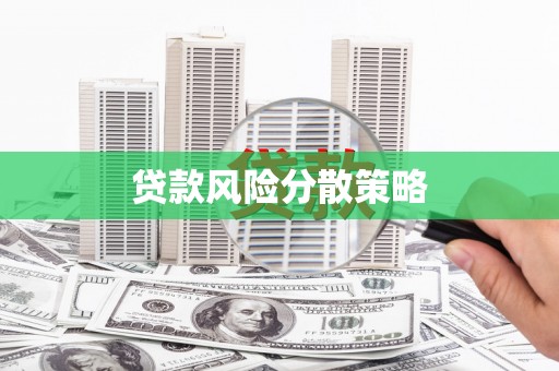 西城贷款风险分散策略