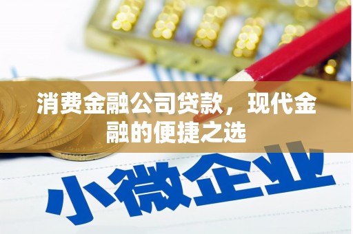 西城消费金融公司贷款，现代金融的便捷之选