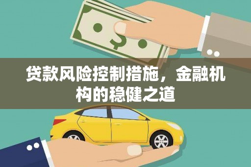 西城贷款风险控制措施，金融机构的稳健之道