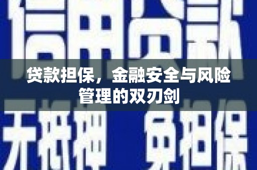 西城贷款担保，金融安全与风险管理的双刃剑