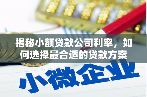 西城揭秘小额贷款公司利率，如何选择最合适的贷款方案