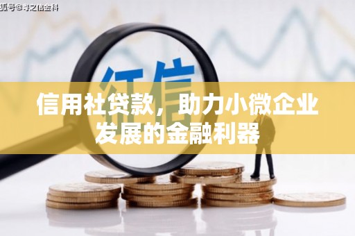 西城信用社贷款，助力小微企业发展的金融利器