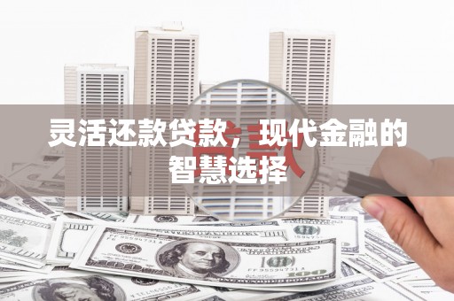 西城灵活还款贷款，现代金融的智慧选择
