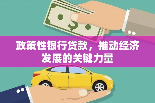 西城政策性银行贷款，推动经济发展的关键力量