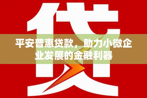 西城平安普惠贷款，助力小微企业发展的金融利器