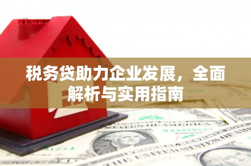西城税务贷助力企业发展，全面解析与实用指南