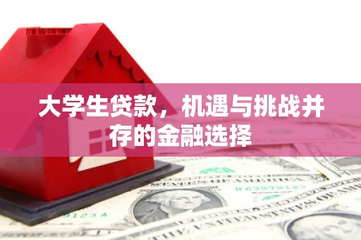 西城大学生贷款，机遇与挑战并存的金融选择
