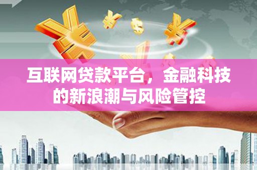 西城互联网贷款平台，金融科技的新浪潮与风险管控