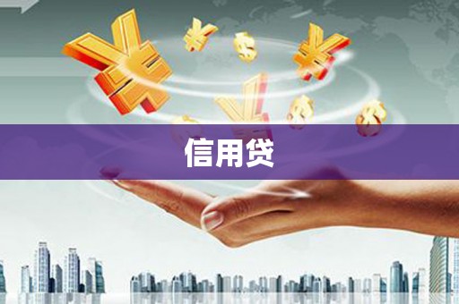 西城信用贷