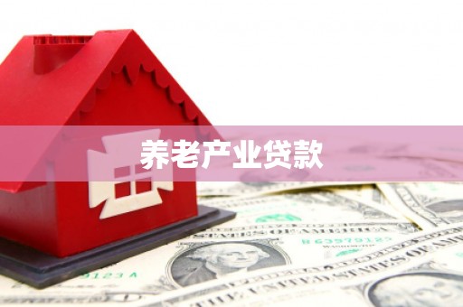西城养老产业贷款