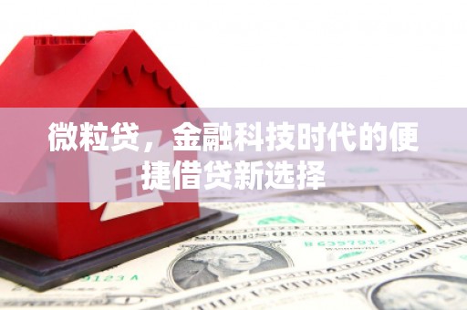 西城微粒贷，金融科技时代的便捷借贷新选择
