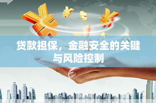 西城贷款担保，金融安全的关键与风险控制