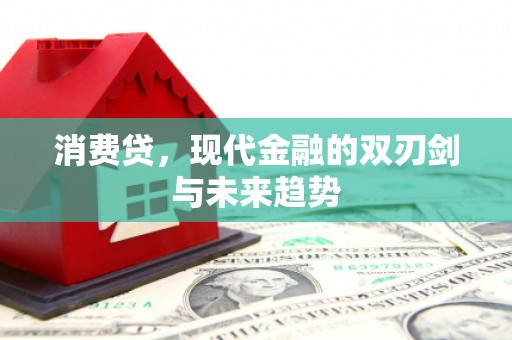 西城消费贷，现代金融的双刃剑与未来趋势