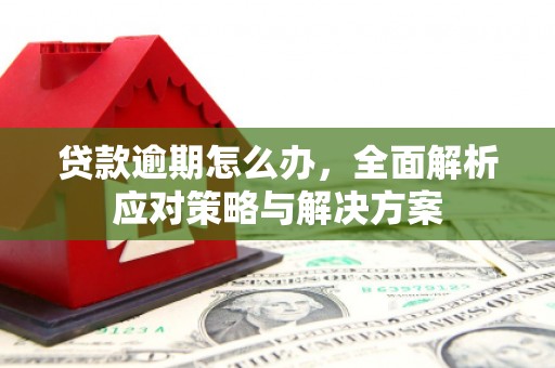 西城贷款逾期怎么办，全面解析应对策略与解决方案