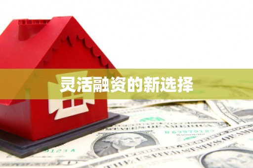 西城灵活融资的新选择