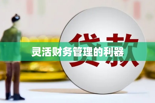 西城灵活财务管理的利器