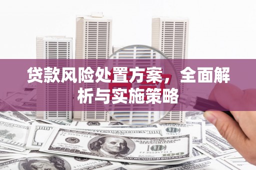 西城贷款风险处置方案，全面解析与实施策略