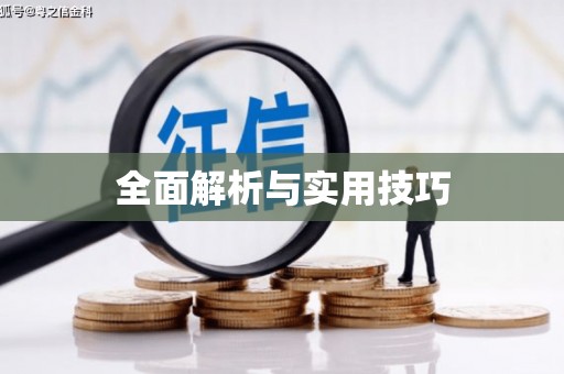 西城全面解析与实用技巧