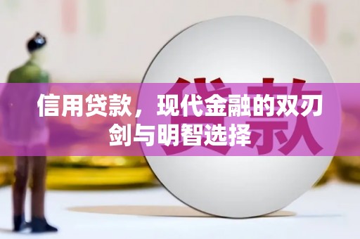 西城信用贷款，现代金融的双刃剑与明智选择